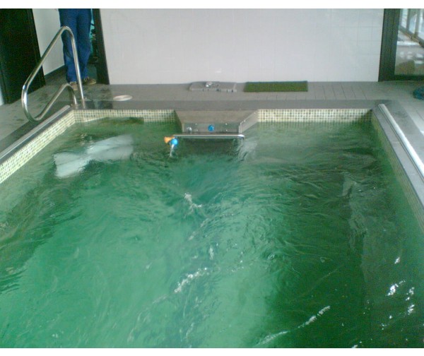 11.31 GALERÍA FOTOGRÁFICA. EQUIPOS INSTALADOS - EQUIPO NATACIÓN CONTRACORRIENTE PROFESIONAL MOD. ENDLESS